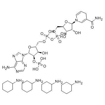 NADPH tetracyclohexanamineͼƬ