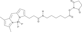 3-BODIPY-propanoylaminocaproic Acid N-hydroxysuccinimide esterͼƬ