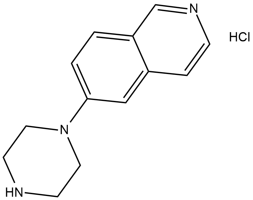 6-piperazin-1-yl-Isoquinoline(hydrochloride)ͼƬ