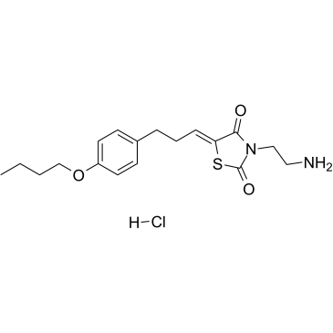 K145 hydrochlorideͼƬ