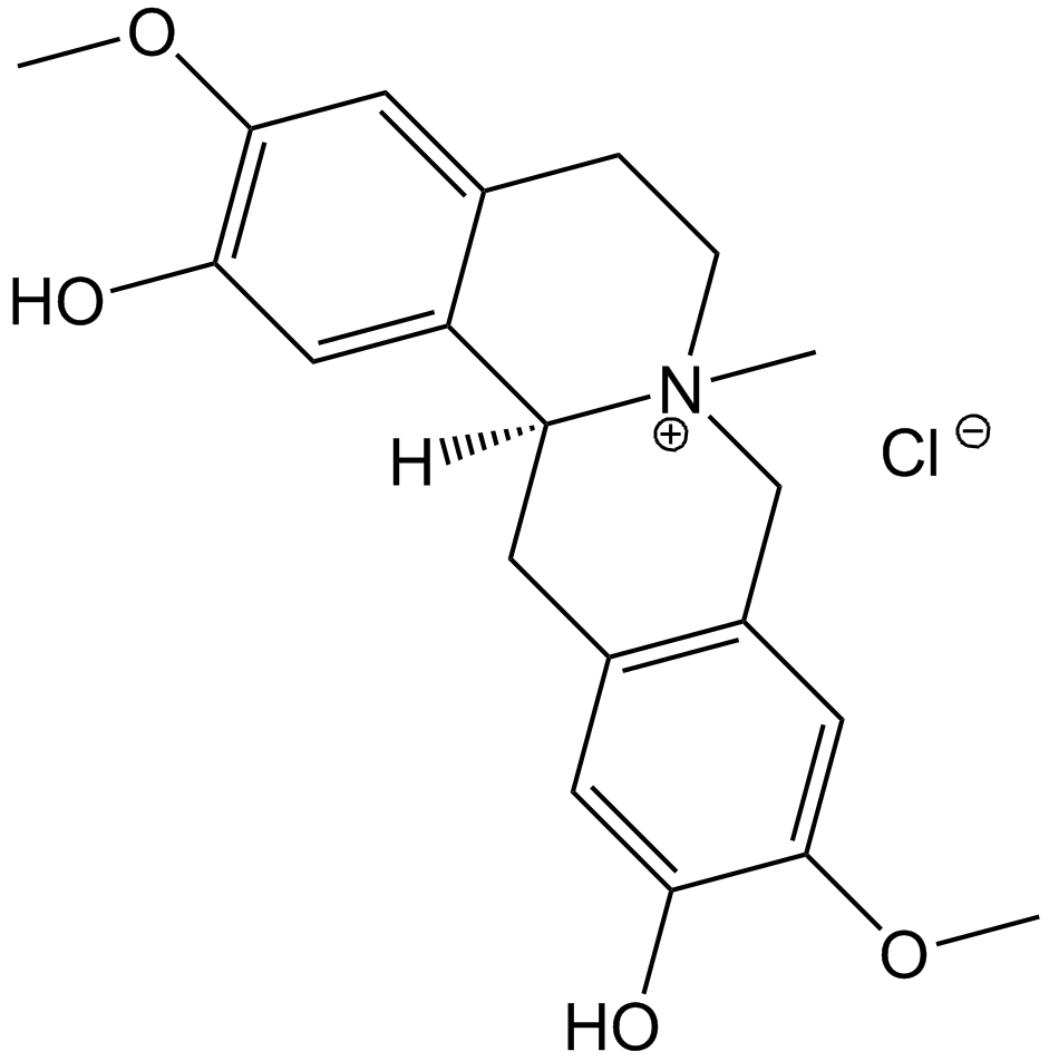 Phellodendrine chlorideͼƬ