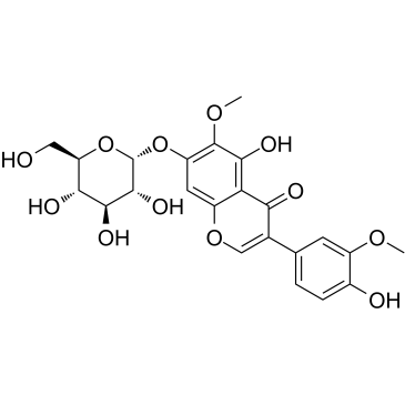 Iristectorin BͼƬ