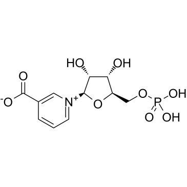 Nicotinic acid mononucleotideͼƬ