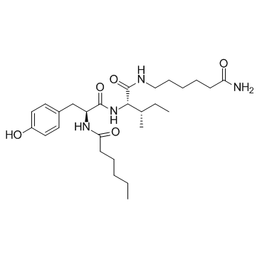 Dihexa(PNB-0408)ͼƬ