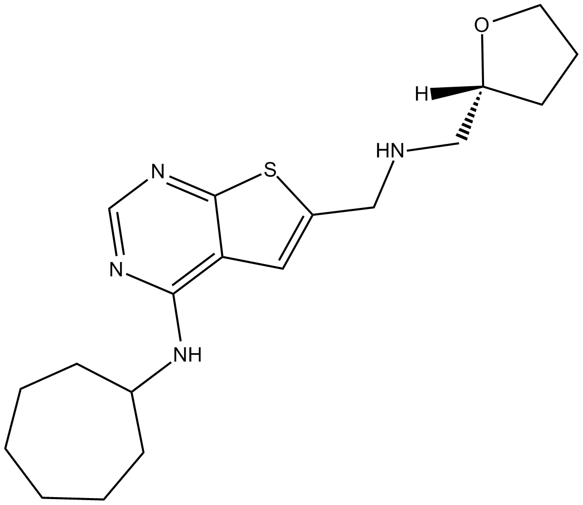 YM 230888ͼƬ