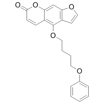 PAP-1ͼƬ