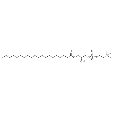 1-Arachidoyl-sn-glycero-3-phosphocholineͼƬ