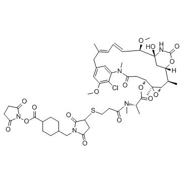 SMCC-DM1(DM1-SMCC)ͼƬ