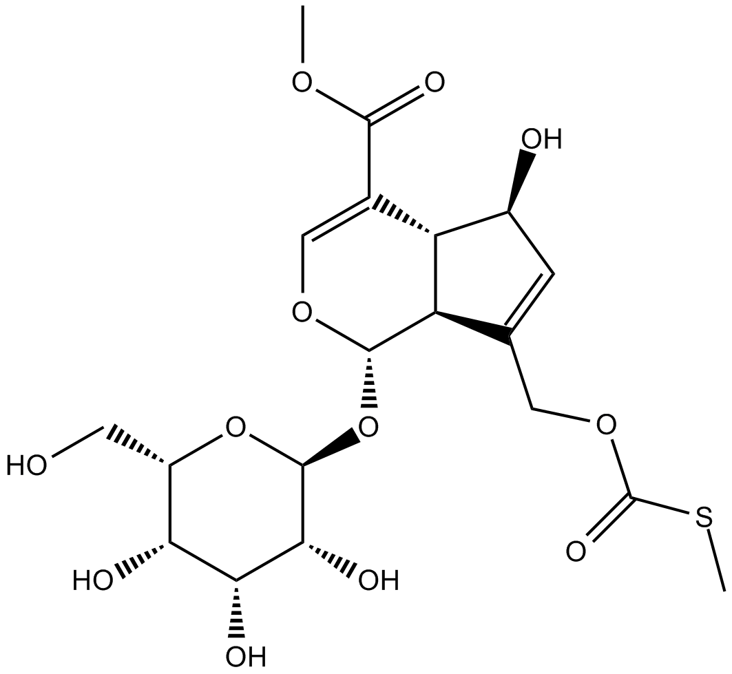 paederosidic acid methyl esterͼƬ