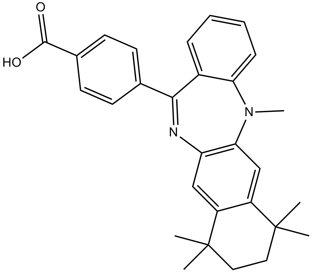 LE 135图片