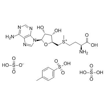 S-Adenosyl-L-methionine disulfate tosylateͼƬ