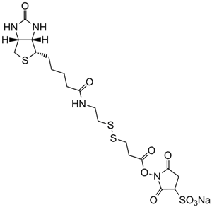 Sulfo-NHS-SS-BiotinͼƬ