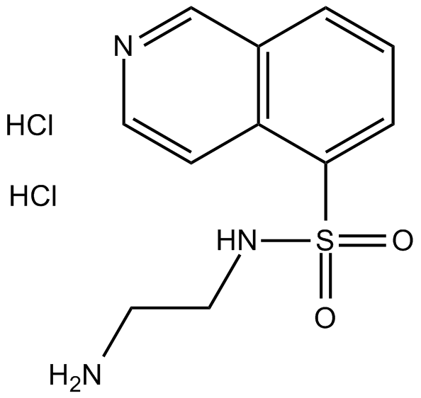 H-9 dihydrochlorideͼƬ