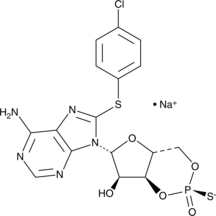 Rp-8-CPT-Cyclic AMP(sodium salt)ͼƬ