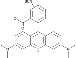 Tetramethylrhodamine isothiocyanate(mixed isomers)ͼƬ