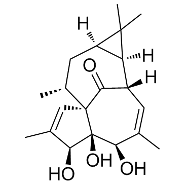 20-Deoxyingenol图片