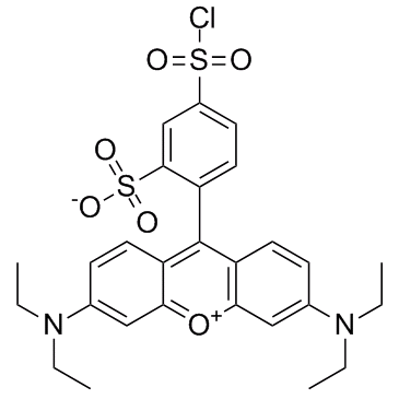 Sulforhodamine B acid chlorideͼƬ