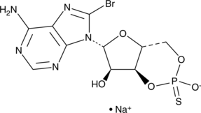 Sp-8-bromo-Cyclic AMPS(sodium salt)ͼƬ