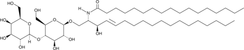 C17 Lactosylceramide(d18:1/17:0)ͼƬ