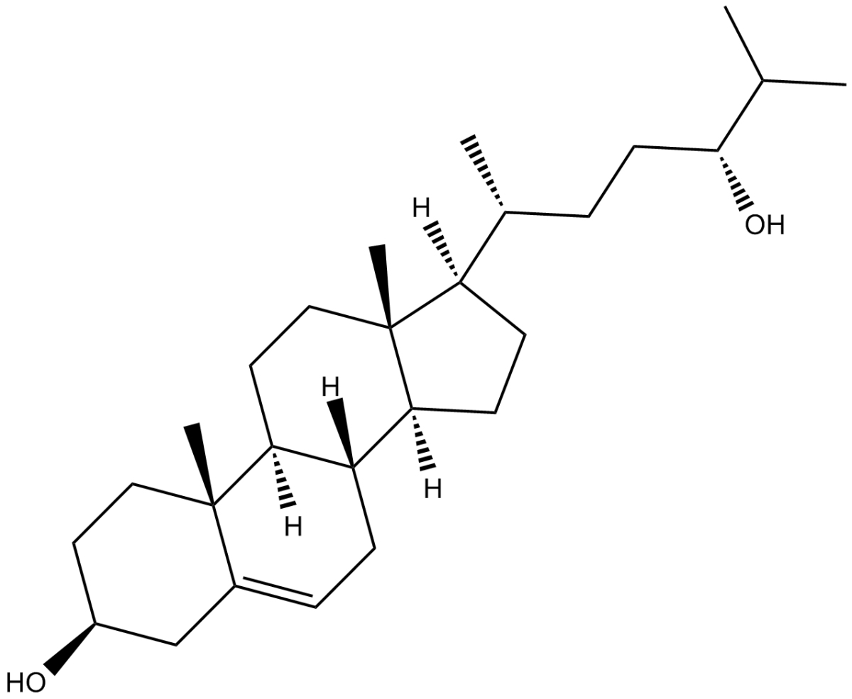 24(R)-hydroxy CholesterolͼƬ