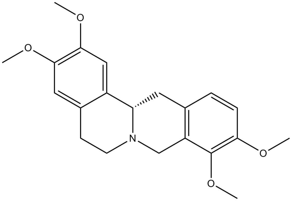 TetrahydropalmatineͼƬ