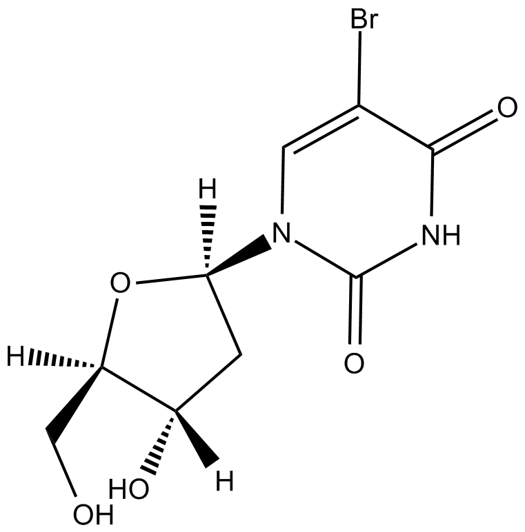 5-BrdUͼƬ