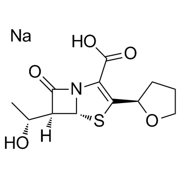 Faropenem sodiumͼƬ