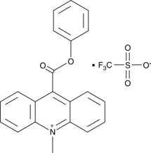 10-methyl-9-(phenoxycarbonyl)Acridinium(trifluoromethylsulfonate)ͼƬ