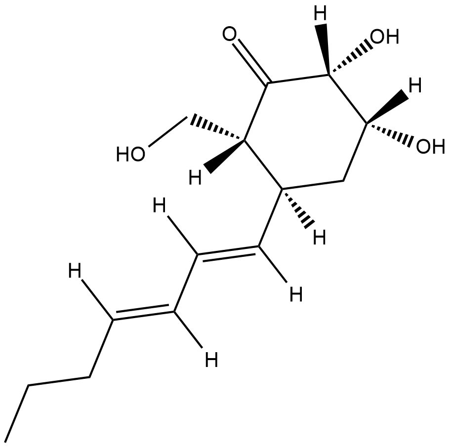 PalitantinͼƬ