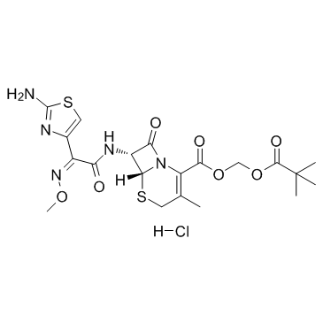 Cefetamet pivoxil hydrochloride(Ro 15-8075)ͼƬ