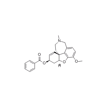 MGB-BP-3ͼƬ