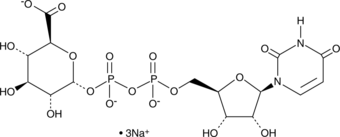 Uridine-5'-diphosphoglucuronic Acid(sodium salt)ͼƬ