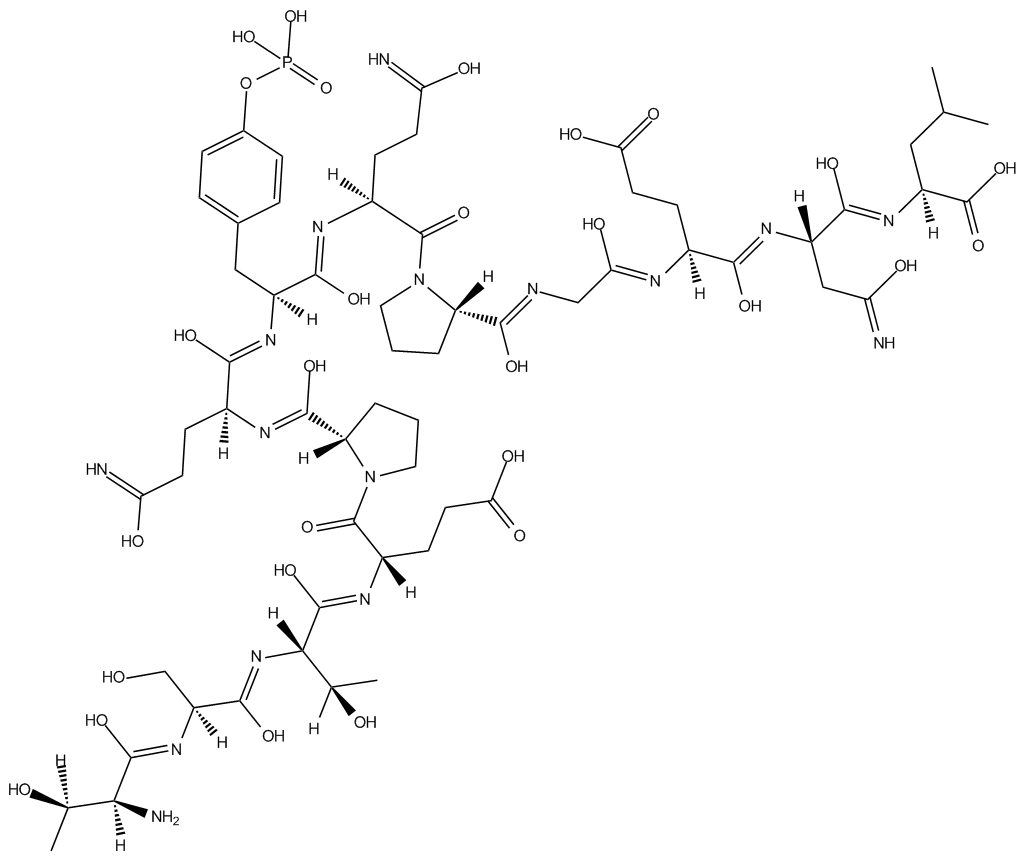 pp60 c-src(521-533)(phosphorylated)ͼƬ