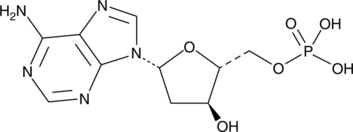 2'-Deoxyadenosine-5'-monophosphateͼƬ