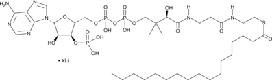 Heptadecanoyl Coenzyme A(lithium salt)ͼƬ