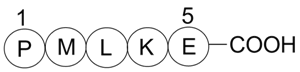 Bax inhibitor peptide P5ͼƬ