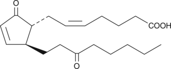 13,14-dihydro-15-keto Prostaglandin A2ͼƬ