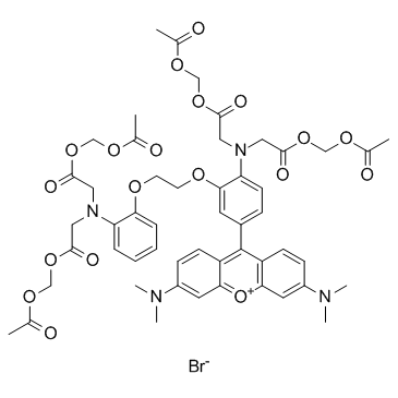 Rhod-2 AMͼƬ