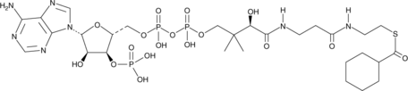 Cyclohexanoyl Coenzyme AͼƬ