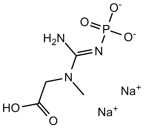 Phosphocreatine disodium saltͼƬ