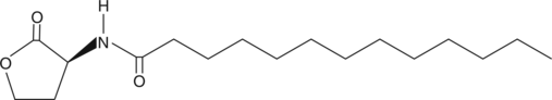 N-tridecanoyl-L-Homoserine lactoneͼƬ