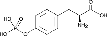 O-Phospho-L-TyrosineͼƬ