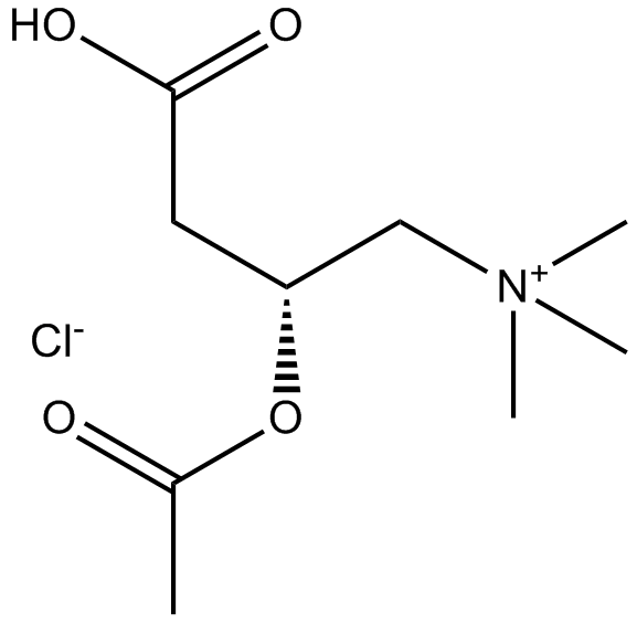 (±)-Acetylcarnitine chlorideͼƬ