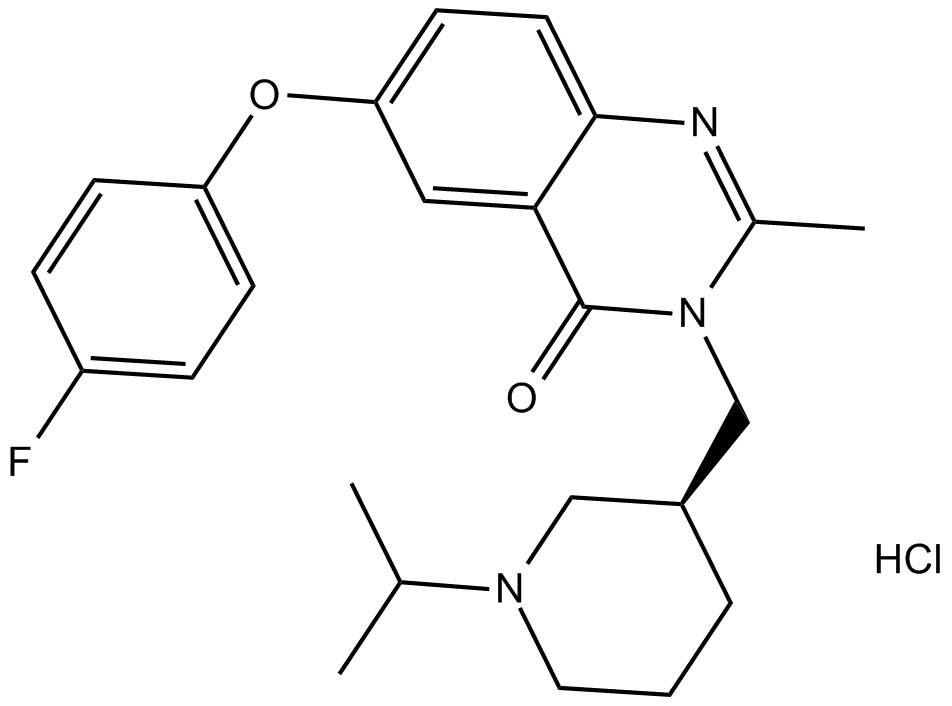 YIL 781图片