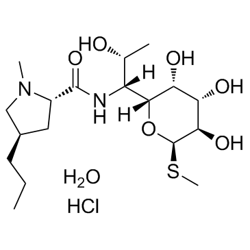 Lincomycin hydrochloride hydrate(Lincomycin hydrochloride monohydrate)ͼƬ