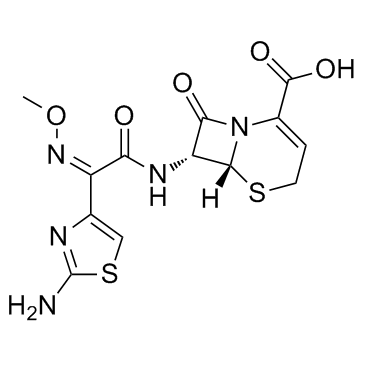 CeftizoximeͼƬ