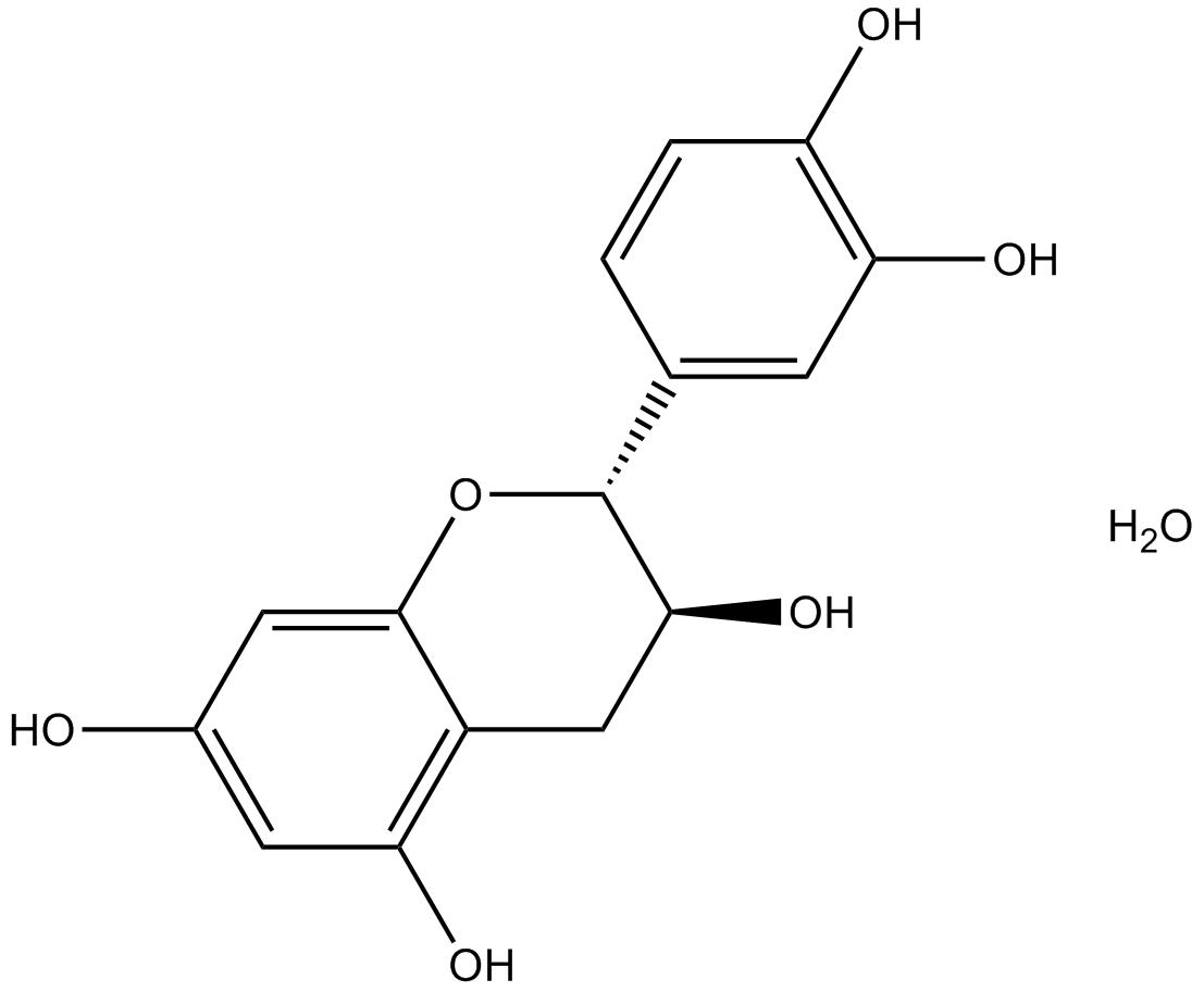 (+)-Catechin hydrate图片