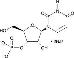 Uridine-3'-monophosphate(sodium salt)ͼƬ