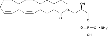 1-Arachidonoyl Lysophosphatidic Acid(ammonium salt)图片