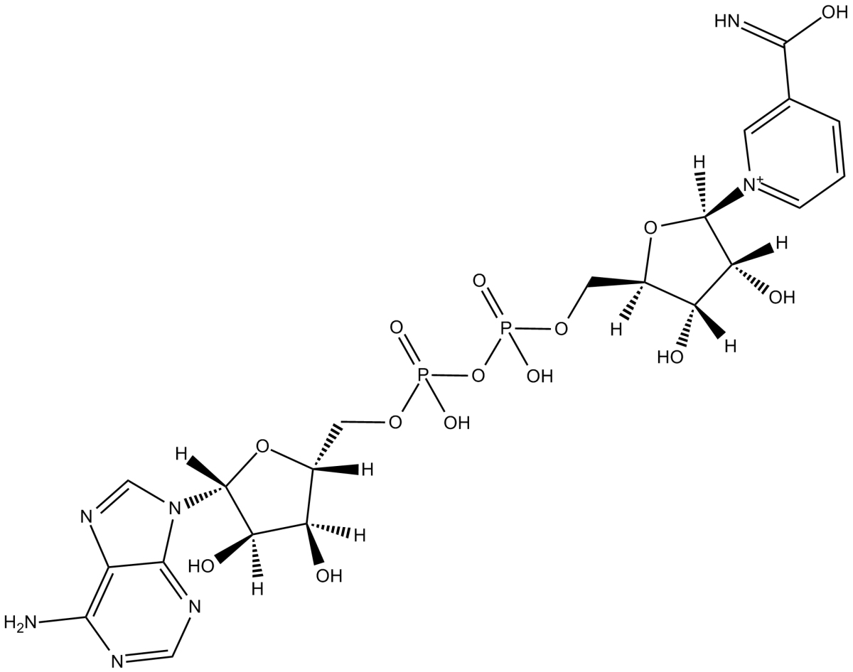 beta-Nicotinamide adenine dinucleotide图片